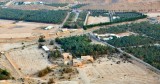 Dates Farms in Waseel Road, North of Ad Diriyah, Riyadh, Saudi Arabia 379