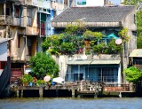 Garden on the deck, Bangkok, Thailand 305 