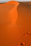 Sunrise on sand dune in Al Ghat Desert, Saudi Arabia 275