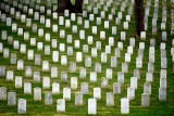 Arlington National Cemetery, Washington DC 462 