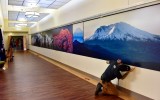 Major Peaks in Cascade Mountains Range at VA Hospital in Seattle Beacon Hill, Washington 094  