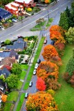 Fall Foliage at Winona Ave N, N77th St, West Green Lake Dr N, Green Lake, Seattle, Washington 752