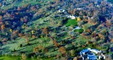 Arlington National Cemetery 