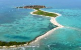 Fort Jefferson, Dry Tortugas National Park , Bush Key, Long Key,  Key West, Florida Keys, Florida 346