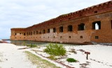Fort Jefferson, Dry Tortugas National Park , Key West, Florida Keys, Florida 445  