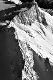 The Needle, The Horseman, on Snowfield Peak, Neve Glacier, North Cascades National Park, Washington 990