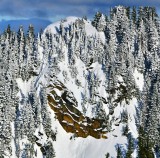 Grotto Mountain on Klinger Ridge, Grotto, Washington 106  