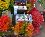 Colorful Leaves on Corner 22nd Ave NW and NW 61st St, Ballard, Seattle, Washington 341  