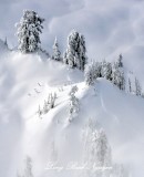 Winter Wonderland on Crosby Mountain, Washington 498a  