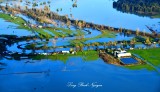 Flooding in Snoqualmie River Valley and Cherry Valley, Snoqualmie River, Duvall, Washington 495  