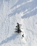 Parting Avalanche on Ragged Ridge and Snowslide Gulch, Index, Washington 040  