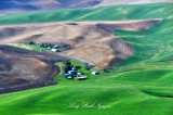 Farms in Rolling Hills of The Palouse, Colfax, Washington 282  