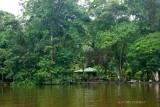 013-Vers-Tortuguero.jpg
