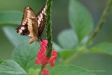 019-Tortuguero.jpg