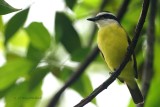 020-Tortuguero.jpg