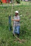 131-Manioc.jpg