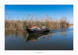 El Palmar · Parc Natural de L´albufera (Valencia)