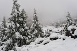 Postcards From The Dolomites ( Italian Alps )