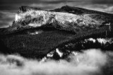 A World in Black and White