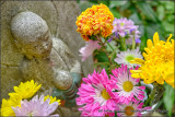 Flowers at the Temple