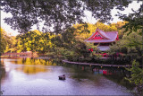 Evening at the Temple