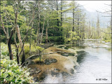 Kamikochi Valley