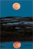 Super Moon