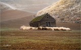 Farm house