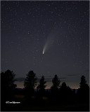 Neowise Comet