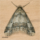 PaD