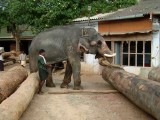 india-9455.jpg