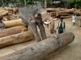 india-9467.jpg