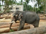 india-9494.jpg