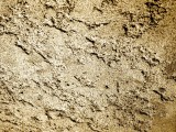 Beton-muur77.jpg