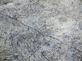 Beton2658.jpg
