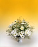 Bloemen-boeket.jpg