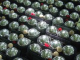 Boules2343.jpg