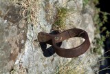 Ring6395.jpg