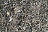 Stone6466.jpg