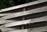 Wood1304.jpg