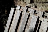 Wood6393.jpg