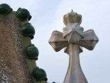 Batlo0256.jpg