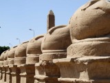 Egypt0496.jpg