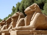 Egypt0517.jpg