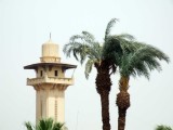 Egypt1295.jpg