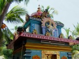 india-1049.jpg