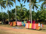 india-2106.jpg