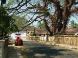 india-4955.jpg