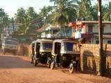 india-5908.jpg
