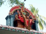 india-8689.jpg